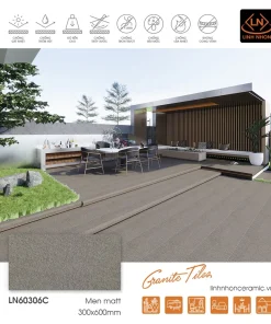 Gạch KIS 30x60 đồng chất LN60306C