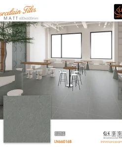 Gạch KIS 60x60 LN66016B